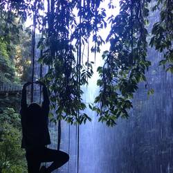 Crystal Shower Falls