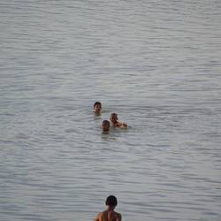 L'heure de la baignade.