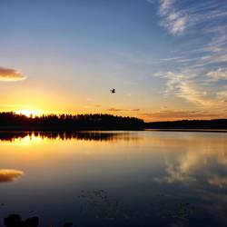 ❤️Sweden- stolen my heart❤️