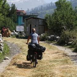 The carpet is brought out