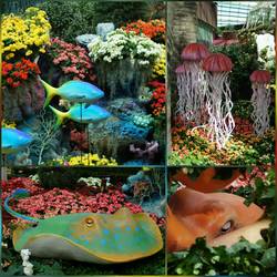 Im Garten eines Kraken.