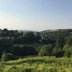 Mavis and I walk by this view a lot