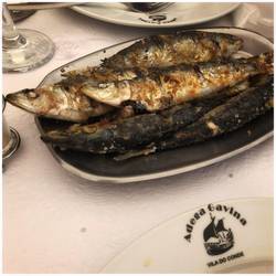 Sardines!