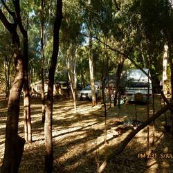 The grove campground