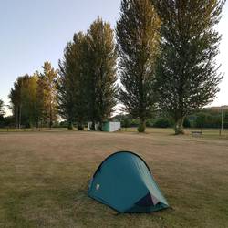 Magnificent trees looking south from my pitch at Llandovery RFC