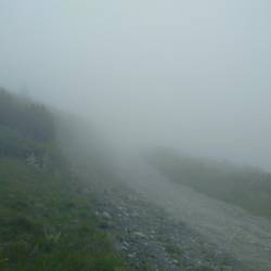 My way to go! Or did I come from there?
