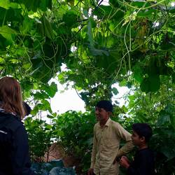 Inspirational organic farming