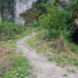 Neandertaler knochenfunde