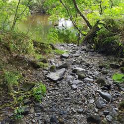 Towy tributary dry after 8 - 10 weeks of no rain