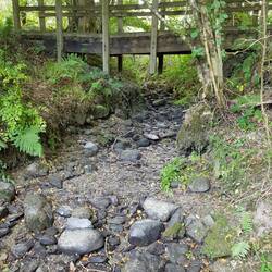 Failing timber on footbridge over Towy tributary
