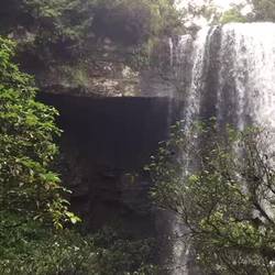 Zillie Falls. Milla Milla Qld