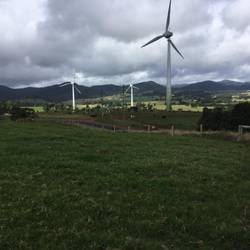 Wind farm and dairy farm