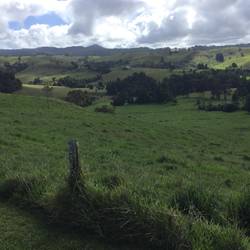 Dairy farming country