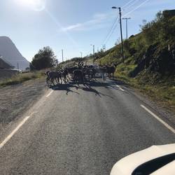Eine kleine Party auf der Straße 😜.