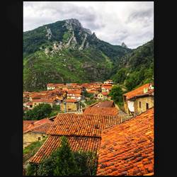 Cucayo