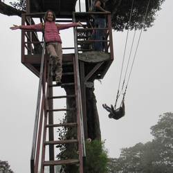 Casa del Arbol, cool!