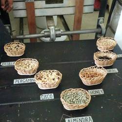 Jede Bohne hat ihre Kategorie