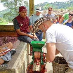 Hier wird die Bohne vom Fruchtfleisch getrennt