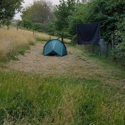 My pitch in garden of Ty' y Cornel hostel