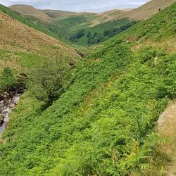 View up Doethai valley
