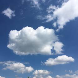 Sonne! Blauer Himmel!