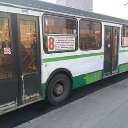 5 Sterne Reisebus