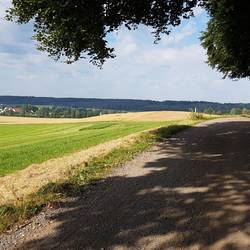 Der Weitwanderweg HW4