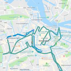 Wild Route!