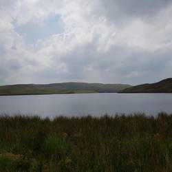 Teifi Pool