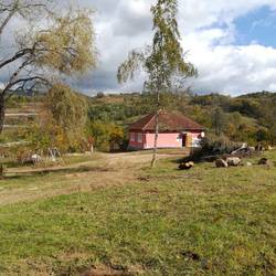 Das Basishaus, mit dem Feuer u.Grillplatz, umgeben von Natursteinen, im Vordergrund.