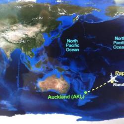 let's take this route