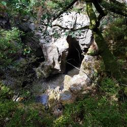 View from Parsons bridge