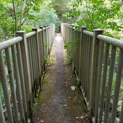 Parsons bridge