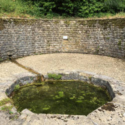 Springs