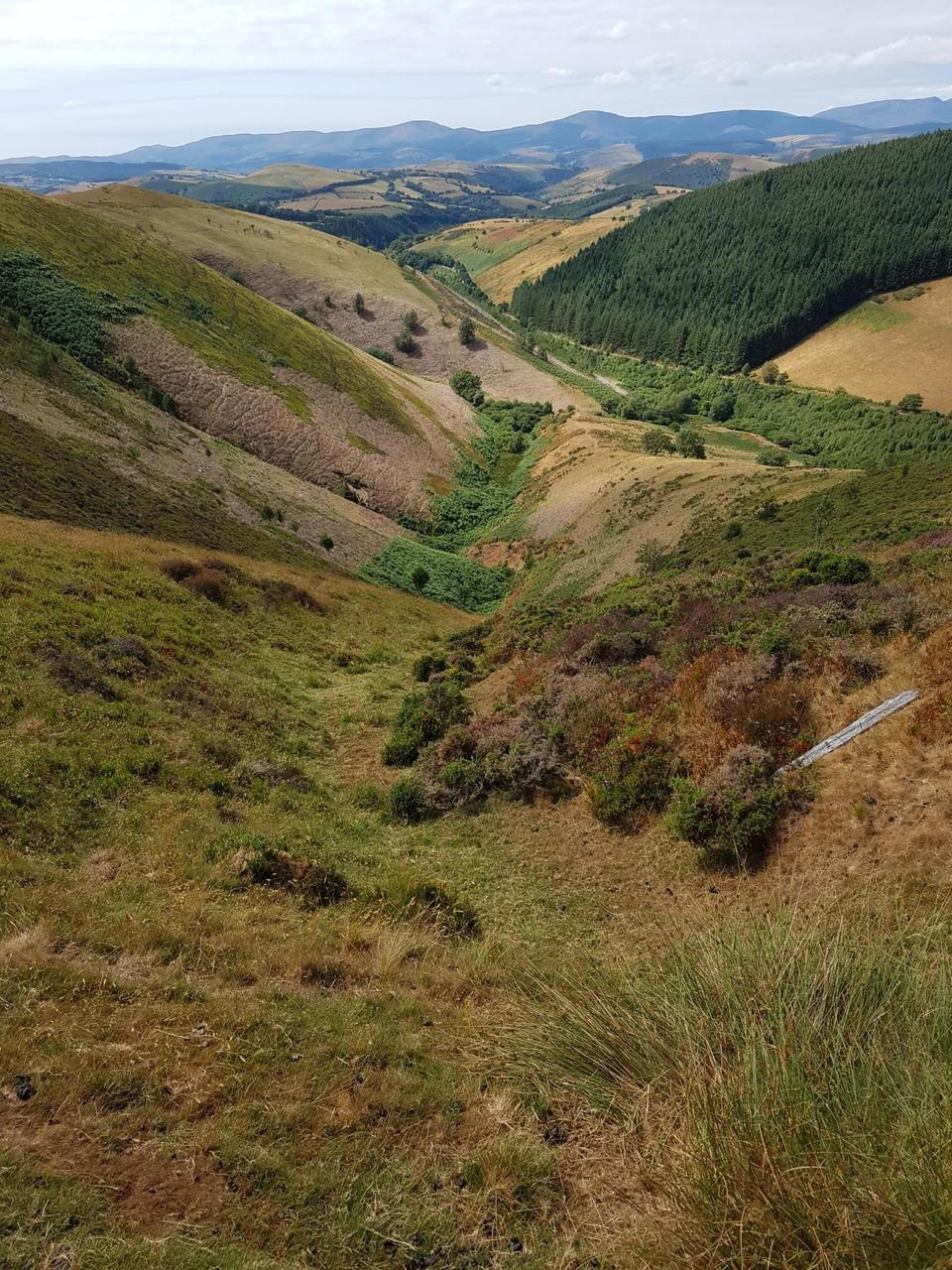 Desent from Mynydd Lluestcethingrych