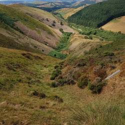 Desent from Mynydd Lluestcethingrych