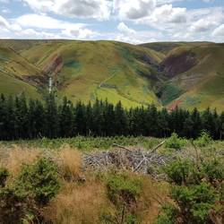 Banc y Cwm from Banc Rhoswydol