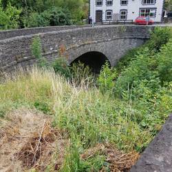Commins Coch A470 bridge