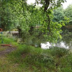 Gwalia Farm lake