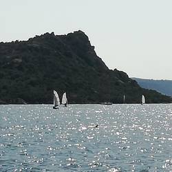 Ausgetrickst: Die Delfine verlassen unbemerkt die Bucht