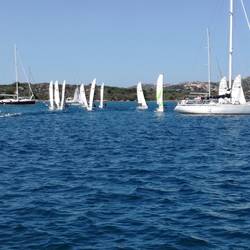 Delfine und Segelschulboote kommen auf uns zu