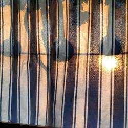 Beautiful light effekt by the setting sun!
