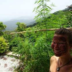 Man beachte die Pflanze im Hintergrund