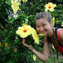 Riesige Hibiskusblüten😍