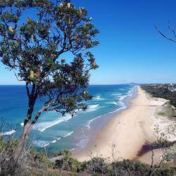 Sunshine Beach