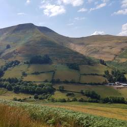 Maesglase from Foel Dinas