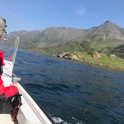 Delfine neben unserem Boot 😍