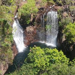 Florence falls