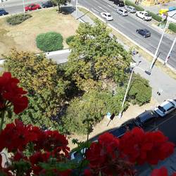 View down from room window