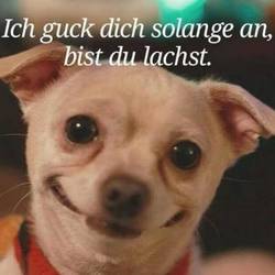 Da kann man einfach nicht anders als Lächeln.